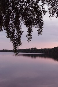 IMG_0683
